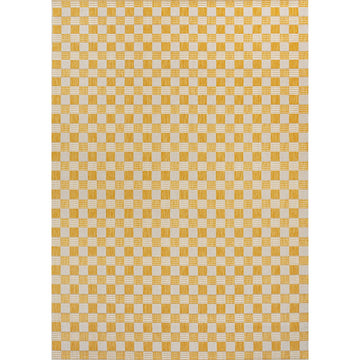 Aimee Traditional Cottage Checkerboard Indoor/Outdoor Area Rug